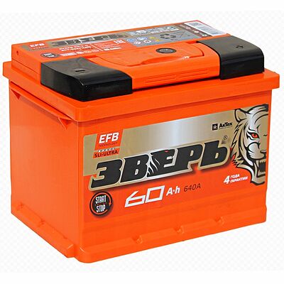 Зверь EFB ZVEFB 65-3-R 65 А/ч 680 А (EN), обратная полярность, 242×175×190 мм