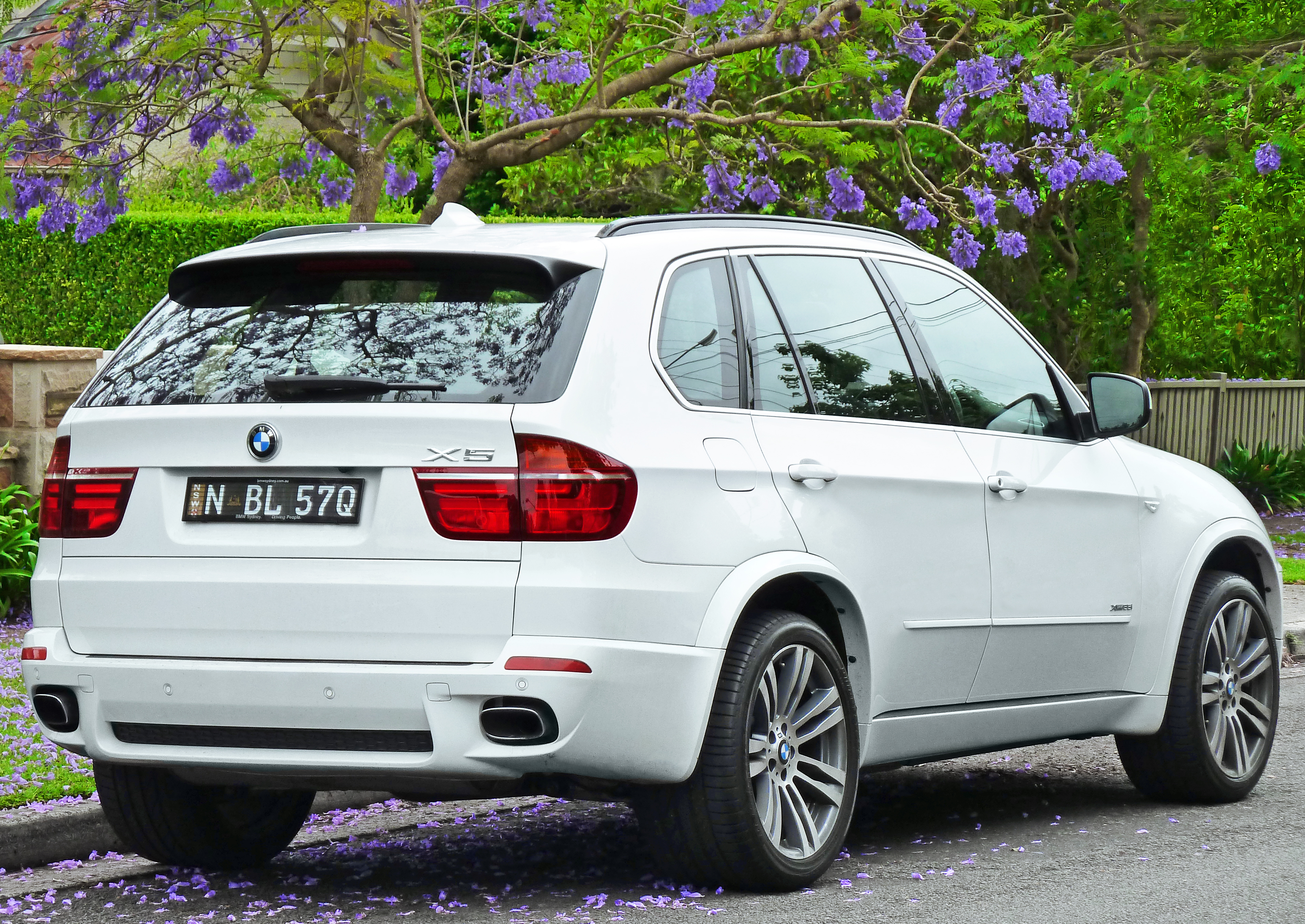 Подбор шин на BMW X5 (E70) 2010