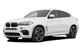 Подбор шин на BMW X6 M 2019