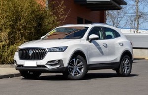 Размер колёс на Borgward BX5 2021 Подбор шин на Borgward BX5 2021
