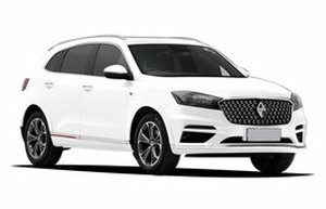 Размер колёс на Borgward BX7 TS 2021 Подбор шин на Borgward BX7 TS 2021