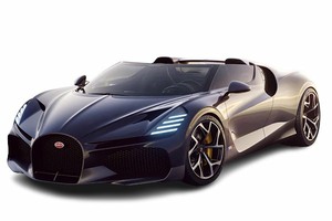 Подбор шин на Bugatti W16 Mistral 2022