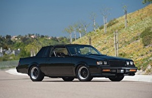 Размер колёс на Buick Grand National 1984 Подбор шин на Buick Grand National 1984