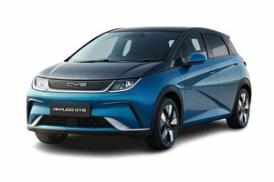 Подбор шин на BYD Dolphin Plus 2024