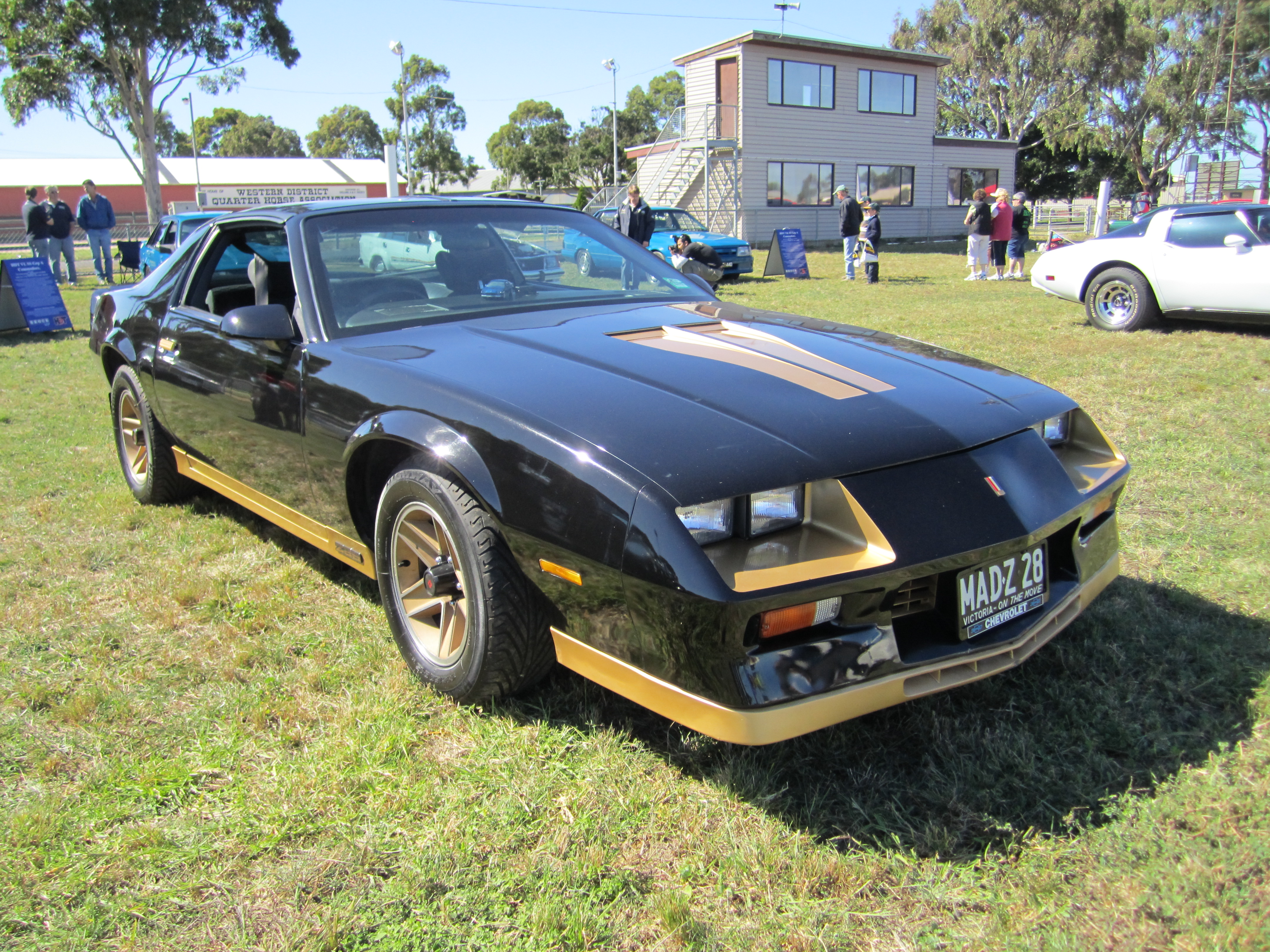 Размер колёс на Chevrolet Camaro 1983 Подбор шин на Chevrolet Camaro 1983