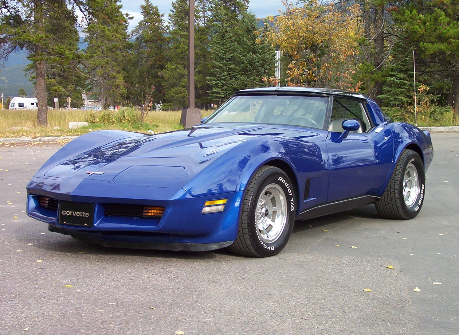 Размер колёс на Chevrolet Corvette 1981 Подбор шин на Chevrolet Corvette 1981