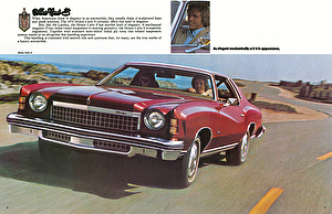 Размер колёс на Chevrolet Monte Carlo 1974 Подбор шин на Chevrolet Monte Carlo 1974