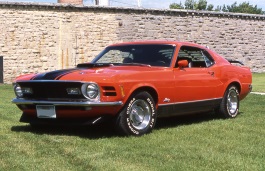 Подбор шин на Ford Mustang Mach 1 1970