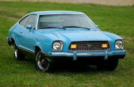 Подбор шин на Ford Mustang Mach 1 1978