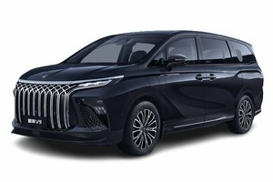 Подбор шин на Forthing V9 2024