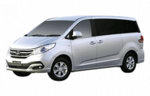 Подбор шин на LDV G10 2020