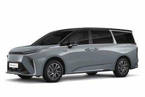 Размер колёс на MG Maxus 9 2025 Подбор шин на MG Maxus 9 2025