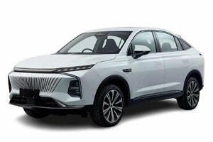 Подбор шин на MG Whale 2024