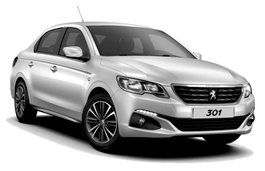 Подбор шин на Peugeot 301 2018