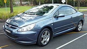 Размер колёс на Peugeot 307 2003 Подбор шин на Peugeot 307 2003