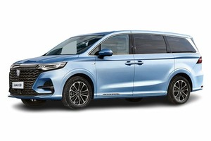 Подбор шин на Roewe iMAX8 2025