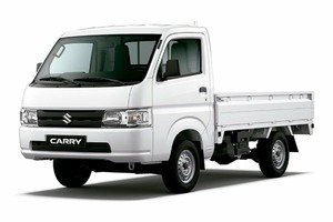 Размер колёс на Suzuki Super Carry Pro 2021 Подбор шин на Suzuki Super Carry Pro 2021