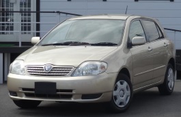 Подбор шин на Toyota Allex 2001
