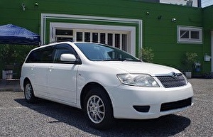 Размер колёс на Toyota Corolla Fielder 2004 Подбор шин на Toyota Corolla Fielder 2004