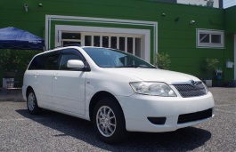 Размер колёс на Toyota Corolla Fielder 2005 Подбор шин на Toyota Corolla Fielder 2005