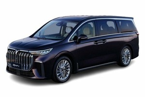 Размер колёс на Voyah Dream 2021 Подбор шин на Voyah Dream 2021
