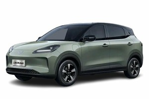 Подбор шин на Wuling Binguo Plus 2025