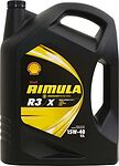 Shell Rimula Shell Rimula