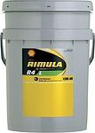 Shell Rimula Shell Rimula