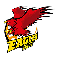 Colaboración con Qingdao Doublestar Tire Basketball Team