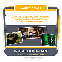 Colaboración con World of Art Installation Competition