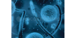 Tecnología Смесь протектора Sport-Mix