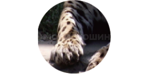 Технология Эргономичный дизайн