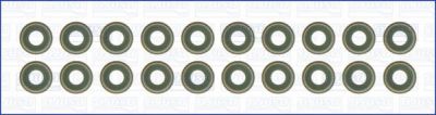 AJUSA 57040700 комплект м/с колпачков Audi A4 2.0 05>/TT 1.8 00> (20)