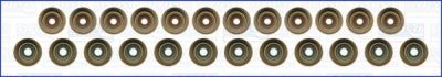 Ajusa Колпачок м/с 3(E90)/5(E60)/X5(E70) 2.5-3.0 к-кт (57051500)