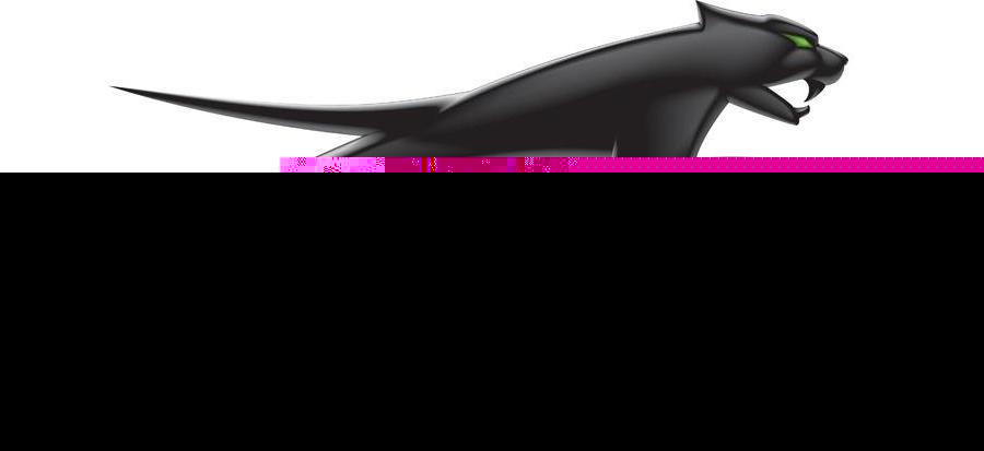 ARCTIC CAT Грузик вариатора (3304-978)