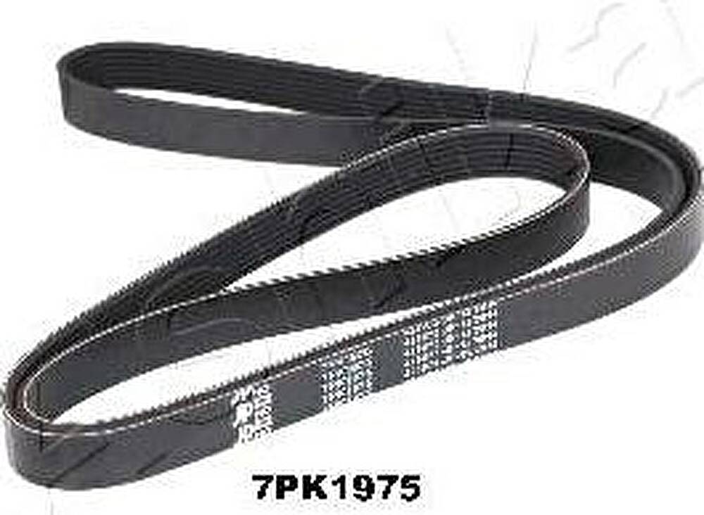Ashika 112-7PK1975 поликлиновой ремень на NISSAN PRIMASTAR фургон (X83)