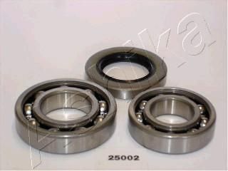 Ashika 44-25002 комплект подшипника ступицы колеса на HYUNDAI PONY