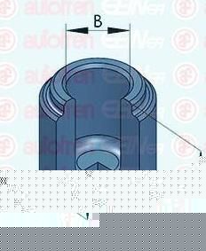 AUTOFREN SEINSA D025284 Поршень, тормозной суппорт