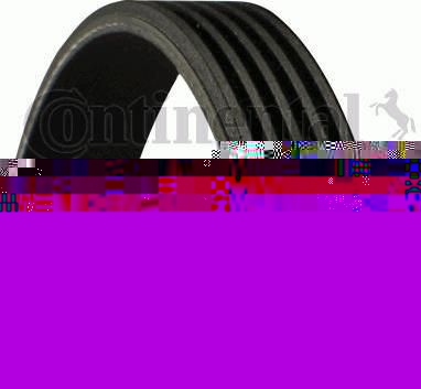 Contitech 5PK790 поликлиновой ремень на TOYOTA COROLLA купе (AE86)