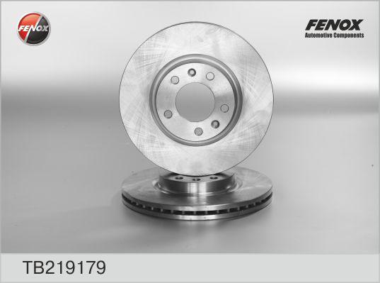 FENOX Диск тормозной передний (к-кт 2 шт., цена за 1 шт.) (TB219179)