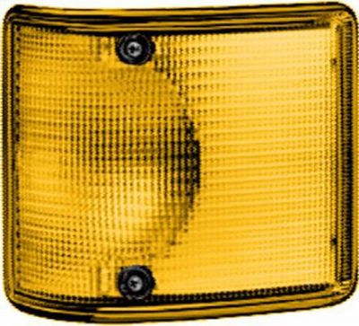 Hella 2BA 005 407-001 фонарь указателя поворота на DAF F 2500