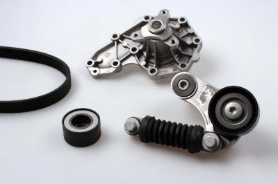 Hepu PK00542 водяной насос + комплект ручейковых ремней на RENAULT MEGANE I (BA0/1_)