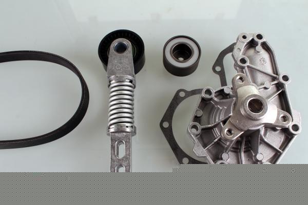 Hepu PK00543 водяной насос + комплект ручейковых ремней на RENAULT SCЙNIC I (JA0/1_)