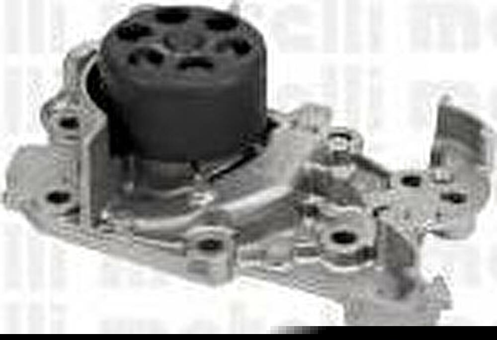 METELLI 24-0983 водяной насос на RENAULT CLIO III (BR0/1, CR0/1)