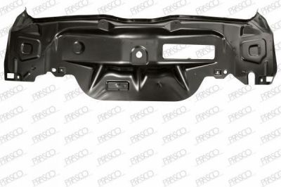 Prasco FT1333260 задняя стенка на FIAT PUNTO (188)