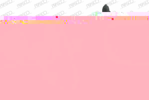 Prasco RN0267123 наружное зеркало на RENAULT MEGANE I (BA0/1_)