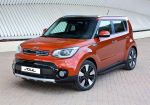 RIVAL RIVAL A173ALB.2804.1 Порог-площадка 