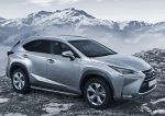 RIVAL RIVAL A173ALP.3202.1 Порог-площадка 