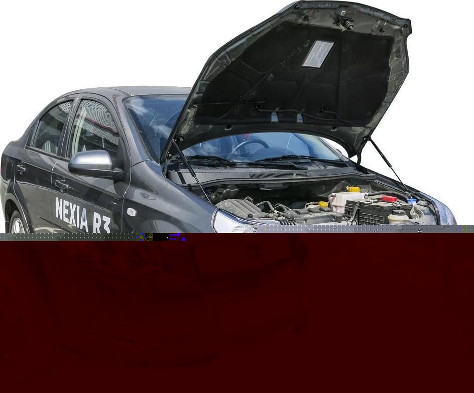RIVAL RIVAL A.ST.1302.1 Амортизаторы капота RIVAL (2 шт.) Ravon R3 (2016-) (A.ST.1302.1)