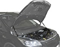 RIVAL RIVAL A.ST.1803.1 Амортизаторы капота RIVAL (2 шт.) Ford Kuga 2013-2016 (A.ST.1803.1) RIVAL RIVAL A.ST.1803.1 Амортизаторы капота RIVAL (2 шт.) Ford Kuga 2013-2016 (A.ST.1803.1)